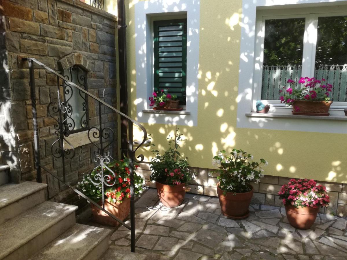 Guesthouse Leasol Lucija Exterior foto