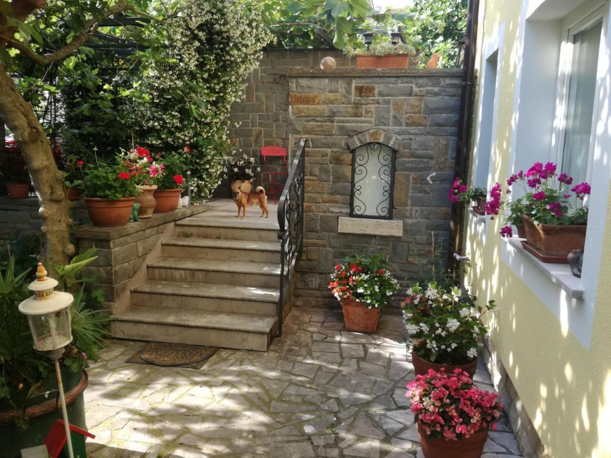 Guesthouse Leasol Lucija Exterior foto