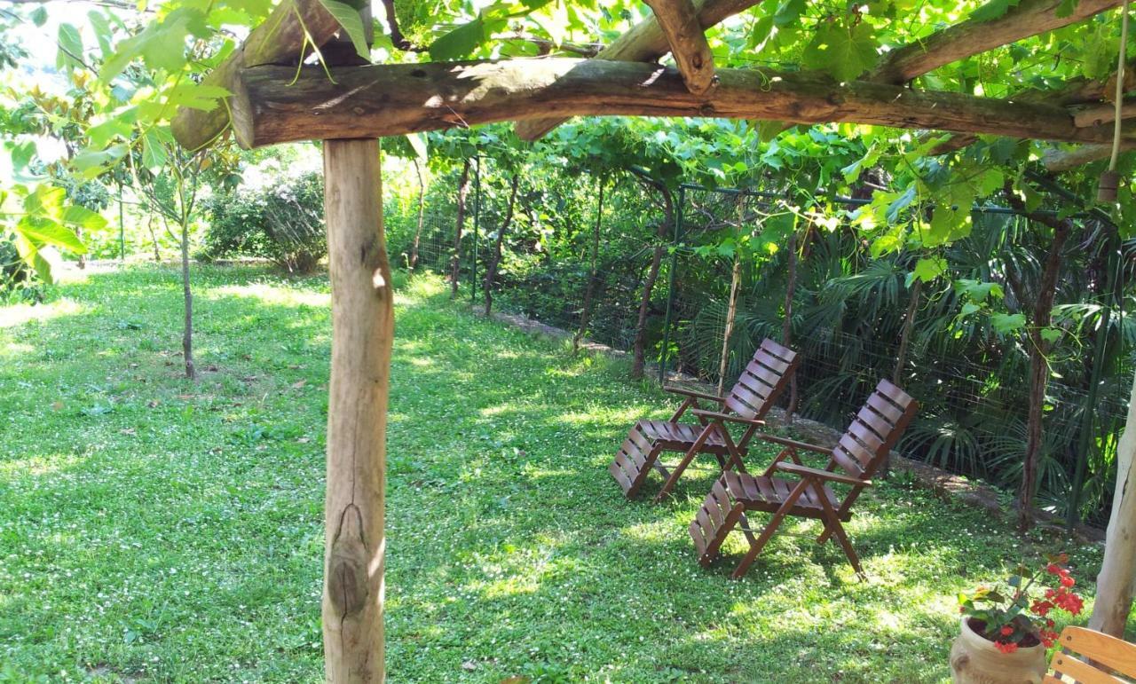 Guesthouse Leasol Lucija Exterior foto
